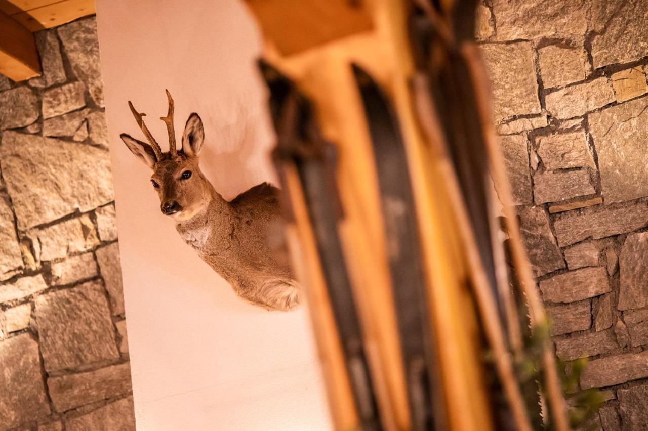 Parc Madeleine - Chalets サン・フランソワ・ロンシャン エクステリア 写真